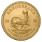 Gold coin Krugerrand 1 Oz
