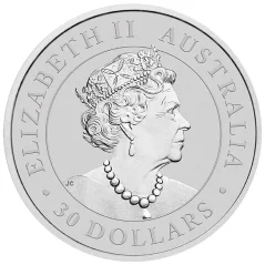 Koala 1 kg | 2021 | ezüstérme