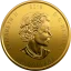 Złota moneta Moose 1 Oz | Call of the Wild | 2019