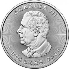 Stříbrná investiční mince Maple Leaf 1 Oz | 2024