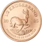 Zlatá investičná minca Krugerrand 1/2 Oz | 2025