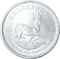 Srebrna moneta Krugerrand 1 oz | 2025