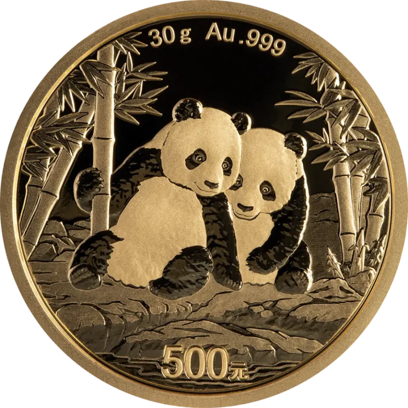 Gold coin Panda 30g | 2026