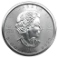 Stříbrná investiční mince Maple Leaf 1 Oz