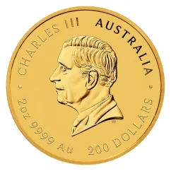 Złota moneta Rok Węża 2 oz | Lunar III | 2025
