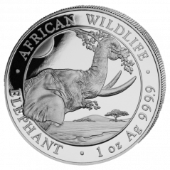 Strieborná investičná minca Somalia Elephant 1 Oz | 2023