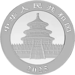 Silver coin Panda 30g | 2025