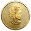 Gold coin Maple Leaf 1 Oz
