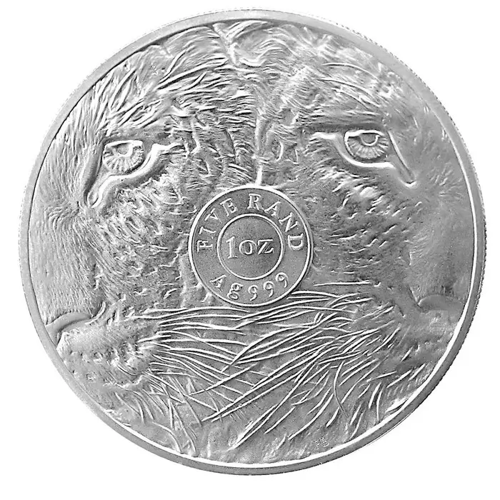 Silver coin Leopard 1 Oz | Big Five I | 2020