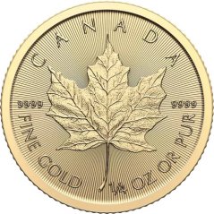 Zlatá investičná minca Maple Leaf 1/4 Oz | 2024