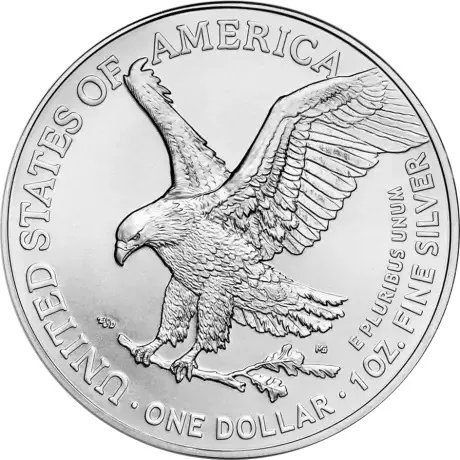 Silver coin American Eagle 1 Oz | 2024
