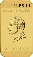 Zlatá investičná minca Dragon Rectangular 1 Oz | 2024