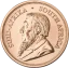 Gold coin Krugerrand 1 Oz | 2025