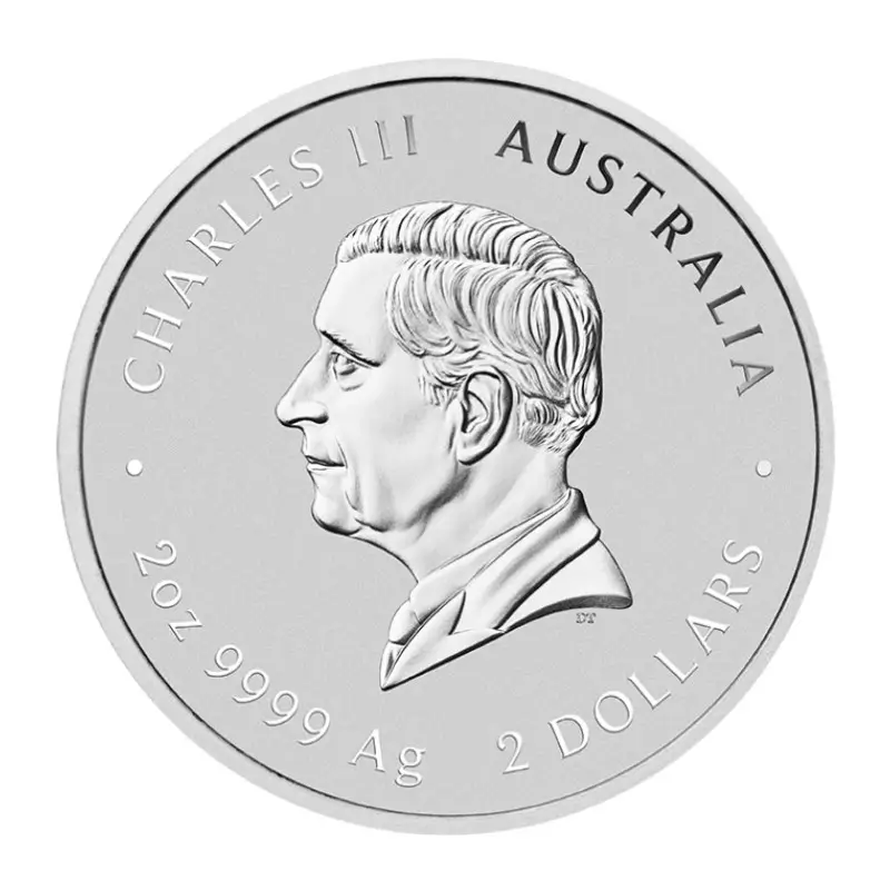 Silver coin Snake 2 Oz | Lunar III | 2025