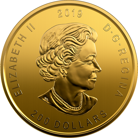 Złota moneta Moose 1 Oz | Call of the Wild | 2019