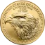 Gold coin American Eagle 1 Oz | 2025