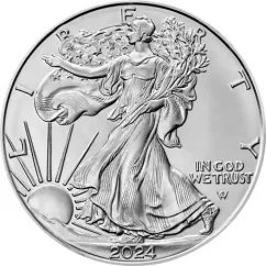 Silver coin American Eagle 1 Oz | 2024