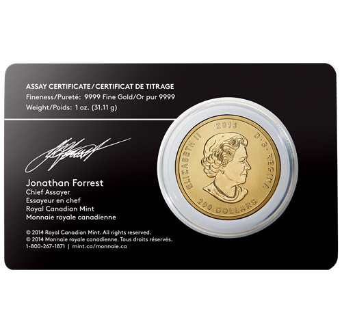 Roaring Grizzly Bear 1 uncia | Call of the Wild | 2016 | aranyérme