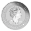 Stříbrná investiční mince Kangaroo 1 Oz