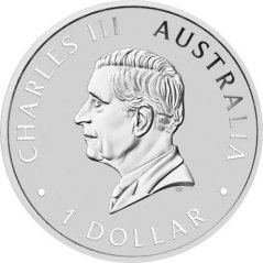 Silver coin Kookaburra 1 Oz | 2024