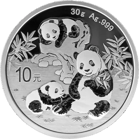 Silver coin Panda 30g | 2025