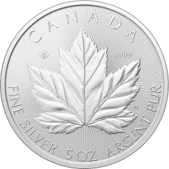 Srebrna moneta Liść Klonowy 5 Oz | 2026