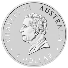 Silver coin Australien Wedge Tailed Eagle 1 Oz | 2026