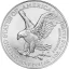 Silver coin American Eagle 1 Oz | 2024