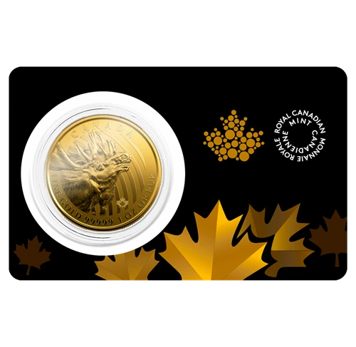 Złota moneta Moose 1 Oz | Call of the Wild | 2019