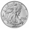 Strieborná investičná minca American Eagle 1 Oz
