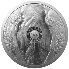 Stříbrná investiční mince Slon 1 Oz | Big Five II | 2021