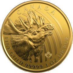Zlatá investiční mince Elch 1 Oz | Call of the Wild | 2019