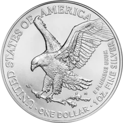 Stříbrná investiční mince American Eagle 1 Oz | 2025