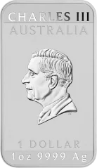 Silver coin Dragon Rectangular 1 Oz | 2025