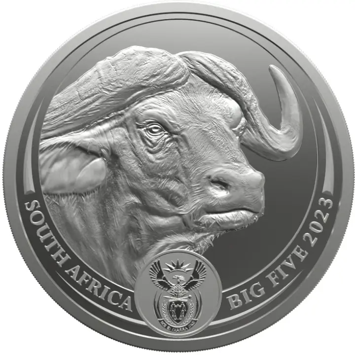 Silver coin Buffalo 1 Oz | Big Five II | 2023