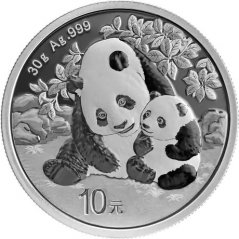 Silver coin Panda 30g | 2024