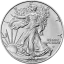 Stříbrná investiční mince American Eagle 1 Oz | 2025