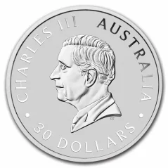Koala 1 uncia | 2025 | ezüstérme