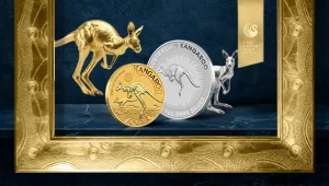 Australian Kangaroo - 40 Years in the Spotlight Under the Australian Sun