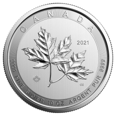Srebrna moneta Magnificent Liść Klonowy 10 oz