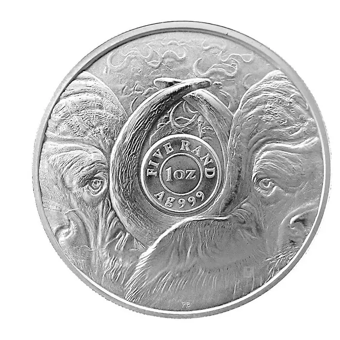 Stříbrná investiční mince Buvol 1 Oz | Big Five I | 2021