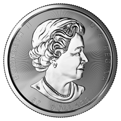 Srebrna moneta Magnificent Liść Klonowy 10 oz
