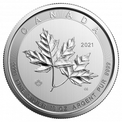Stříbrná investiční mince Magnificent Maple Leaf 10 Oz