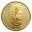 Gold coin Maple Leaf 1/4 Oz