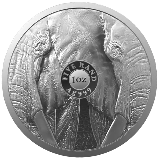 Stříbrná investiční mince Slon 1 Oz | Big Five II | 2021