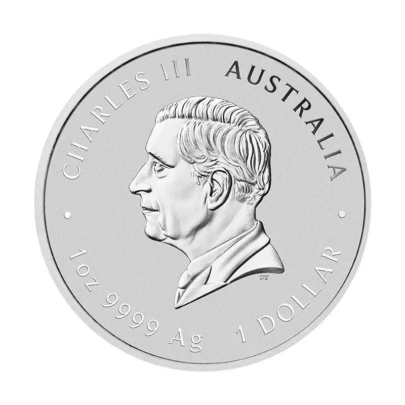 Silver coin Snake 1 Oz | Lunar III | 2025