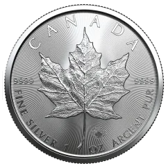 Stříbrná investiční mince Maple Leaf 1 Oz