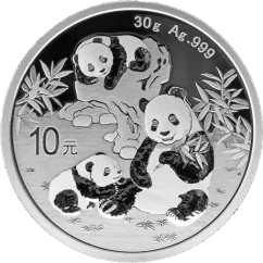 Silver coin Panda 30g | 2025
